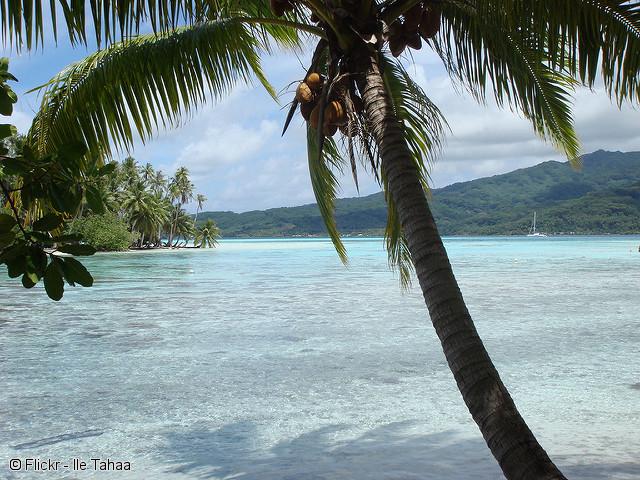 J3-Taha-Island-Copyright-Flickr-040418.jpg