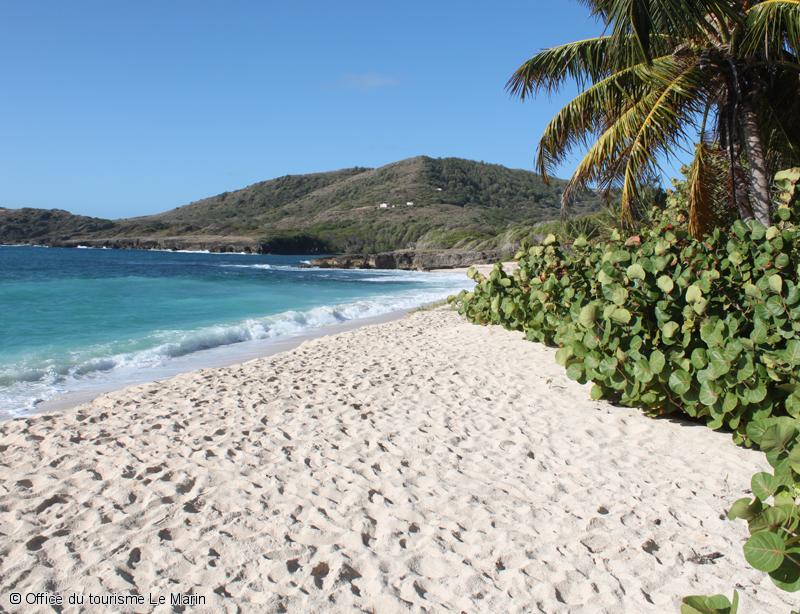 croisiere - cabine - martinique grenadines