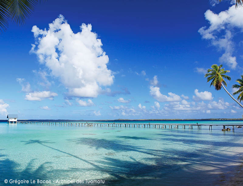 polynesie-les-tuamotu-croisiere