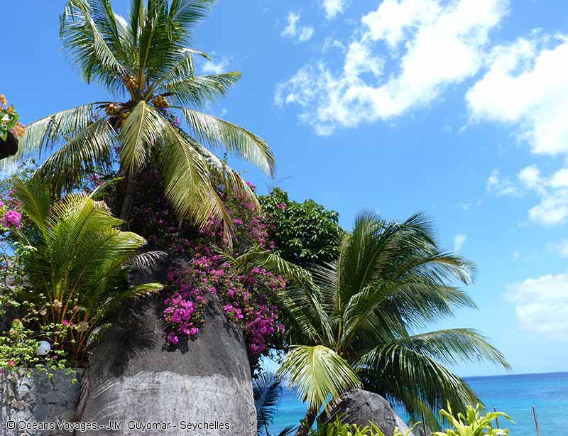 Seychelles-croisiere-sur-mesure-fleurs-palmier